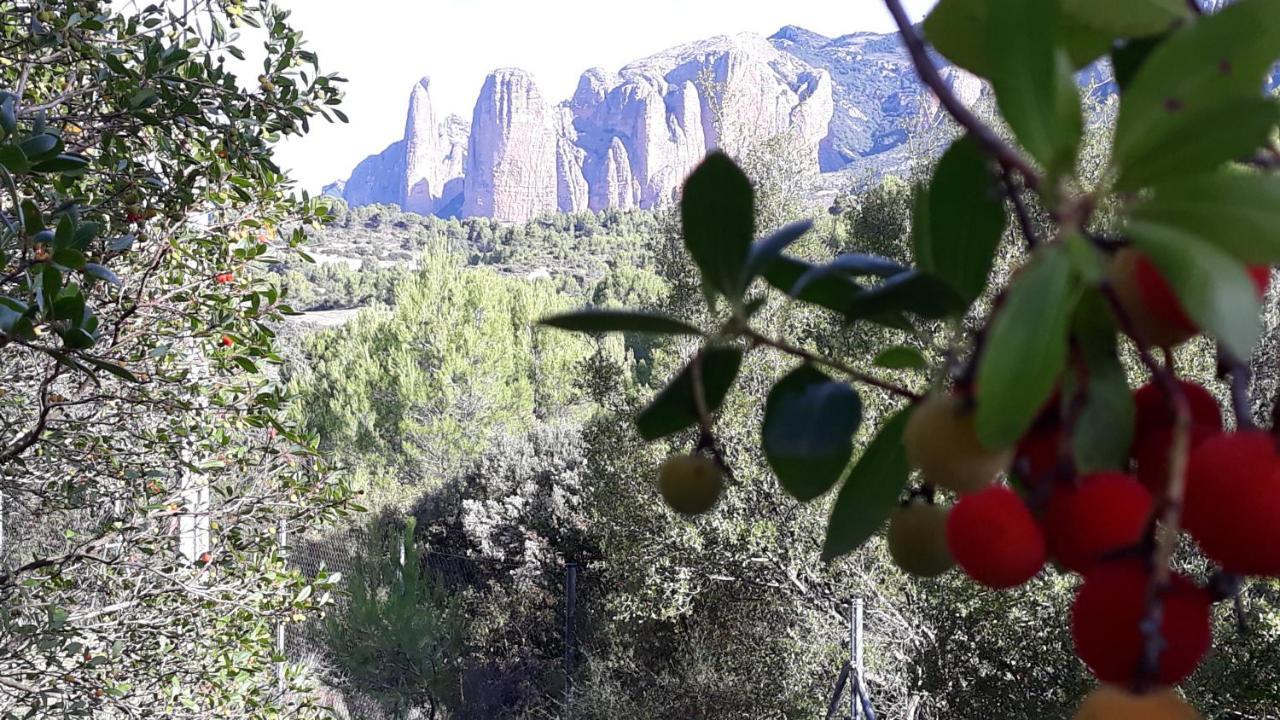 Ferienwohnung Despertar En Riglos Exterior foto